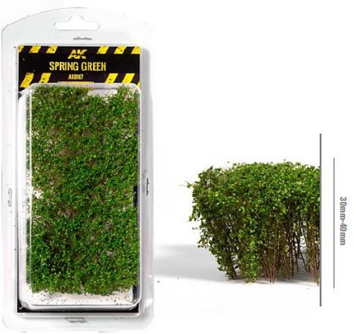 Immagine di SPRING GREEN SHRUBBERIES